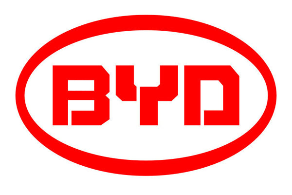 For BYD Series